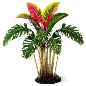 Tropical Garden Plants PNG 06252024 PNG