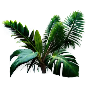 Tropical Garden Plants PNG Epj52 PNG