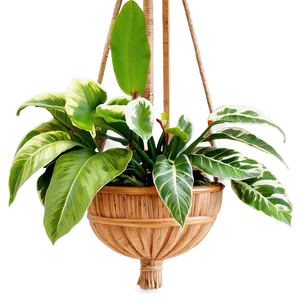 Tropical Hanging Plant PNG 05252024