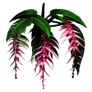 Tropical Hanging Plant PNG 15