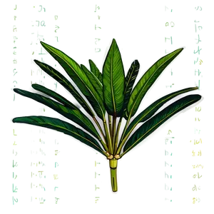 Tropical Herb PNG Jxv