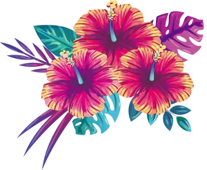 Tropical Hibiscus Floral Illustration PNG image