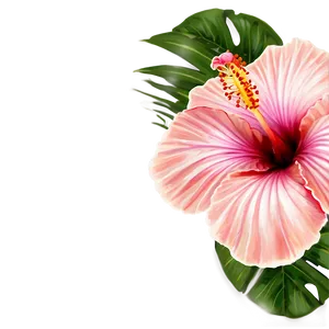 Tropical Hibiscus PNG 04292024