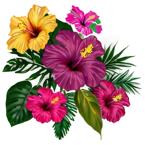 Tropical Hibiscus PNG 4