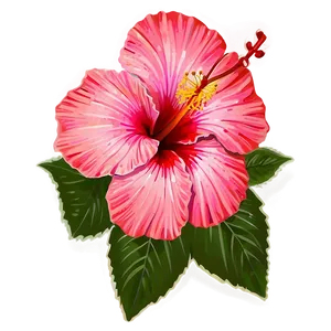 Tropical Hibiscus PNG 79