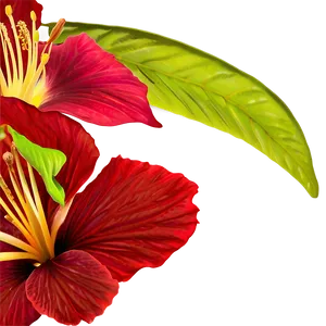 Tropical Hibiscus PNG Swg