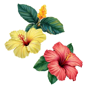 Tropical Hibiscus PNG Yhv2