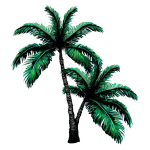 Tropical Island Palms PNG Iko69 PNG