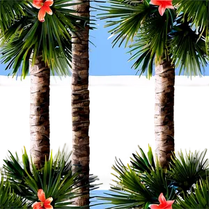 Tropical Island Palms PNG Tmq60 PNG
