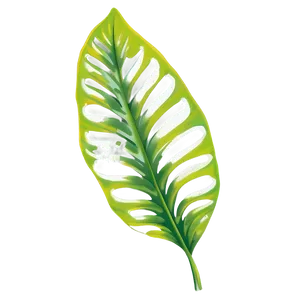 Tropical Leaf Accent PNG 06122024 PNG
