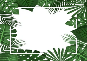 Tropical_ Leaf_ Border_ Frame PNG image