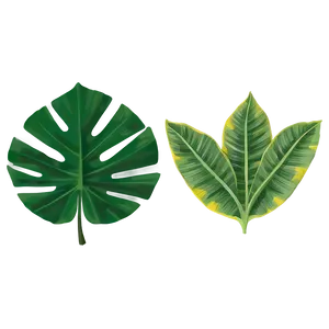 Tropical Leaf Bundle PNG 06122024