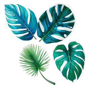Tropical Leaf Bundle PNG Lco94 PNG