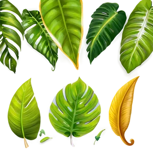 Tropical Leaf C PNG image