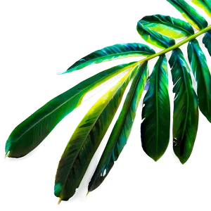 Tropical Leaf Collection PNG Gkl64 PNG
