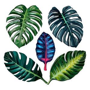 Tropical Leaf Composition PNG Vhn91 PNG