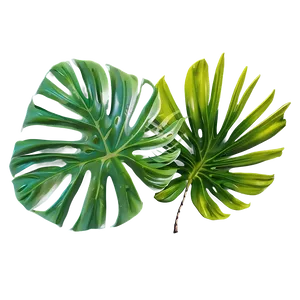 Tropical Leaf Composition PNG Yff2 PNG