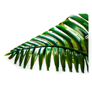 Tropical Leaf Corner PNG 06122024