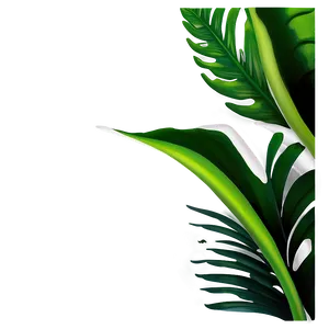 Tropical Leaf Corner PNG 06122024