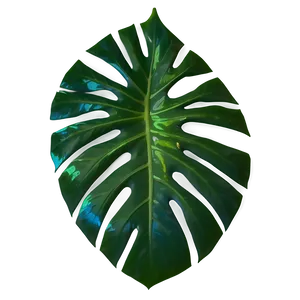 Tropical Leaf Cutout PNG 06122024