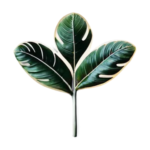 Tropical Leaf Detail PNG 06122024
