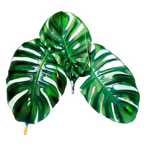 Tropical Leaf Digital PNG 11