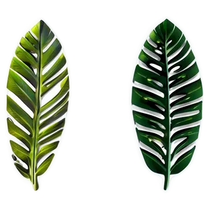 Tropical Leaf Element PNG Ctj29 PNG