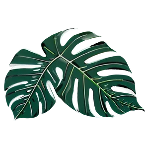 Tropical Leaf Icon Png 65 PNG image