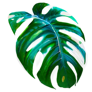 Tropical Leaf Overlay PNG 06122024