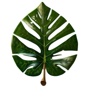 Tropical Leaf Overlay PNG Aon41 PNG