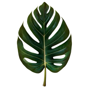 Tropical Leaf Pattern Png Ody PNG image