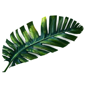 Tropical Leaf PNG 05032024