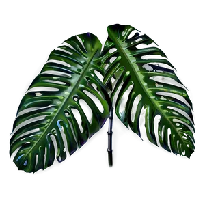 Tropical Leaf Png 06252024 PNG image