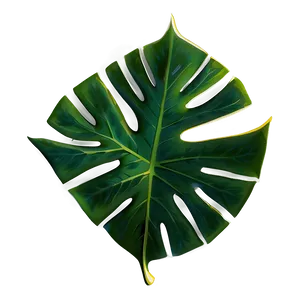 Tropical Leaf PNG Hnx81 PNG