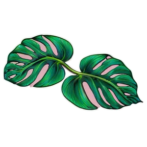 Tropical Leaf Print PNG 06122024