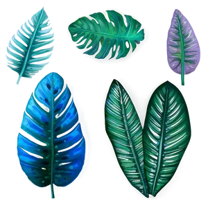 Tropical Leaf Set PNG 63 PNG