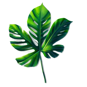 Tropical Leaf Shadow PNG Adp