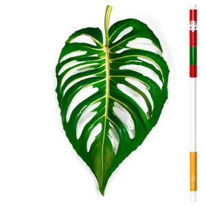 Tropical Leaf Shape PNG Iob20 PNG