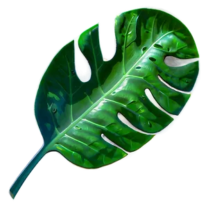 Tropical Leaf Transparency PNG 06122024