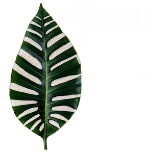 Tropical Leaves Png 18 PNG image