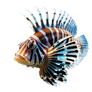 Tropical Lionfish PNG 06292024