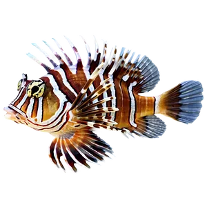 Tropical Lionfish PNG Lqu