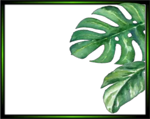 Tropical Monstera Leaves Frame PNG