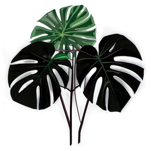 Tropical Monstera Silhouette Png 25 PNG image