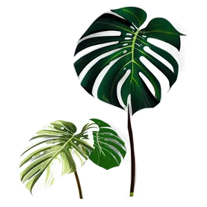 Tropical Monstera Silhouette Png 63 PNG image