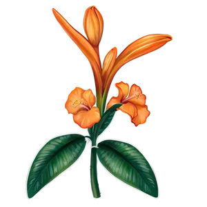 Tropical Orange Flower Png 06122024 PNG image