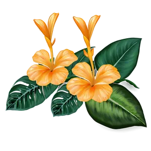 Tropical Orange Flower Png 50 PNG image