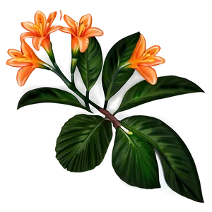 Tropical Orange Flower Png Fma PNG image