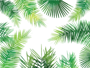 Tropical Palm Leaves Pattern PNG image