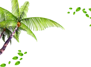 Tropical Palm Leaves Transparent Background PNG image